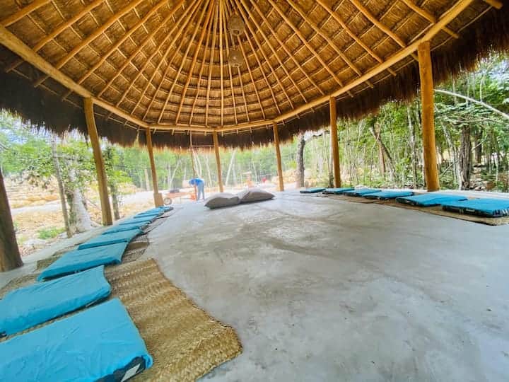 Ayahuasca Retreats Tulum 1