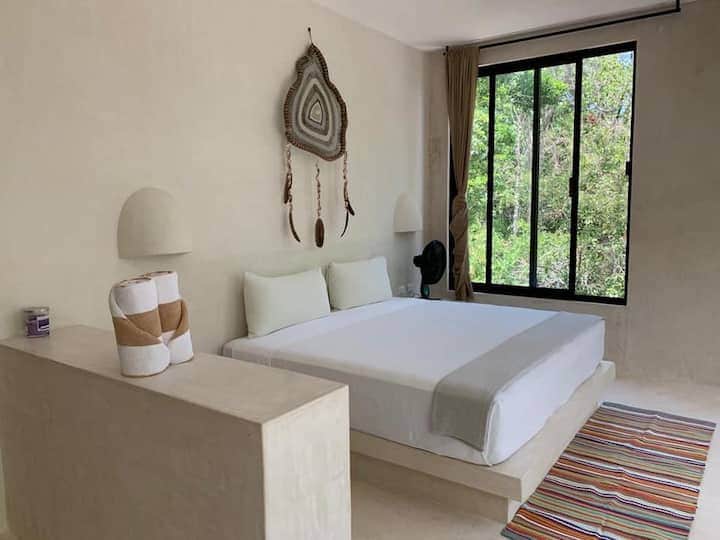 Ayahuasca Retreats Tulum 2