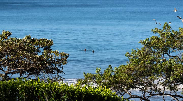 Reunion Costa Rica 8