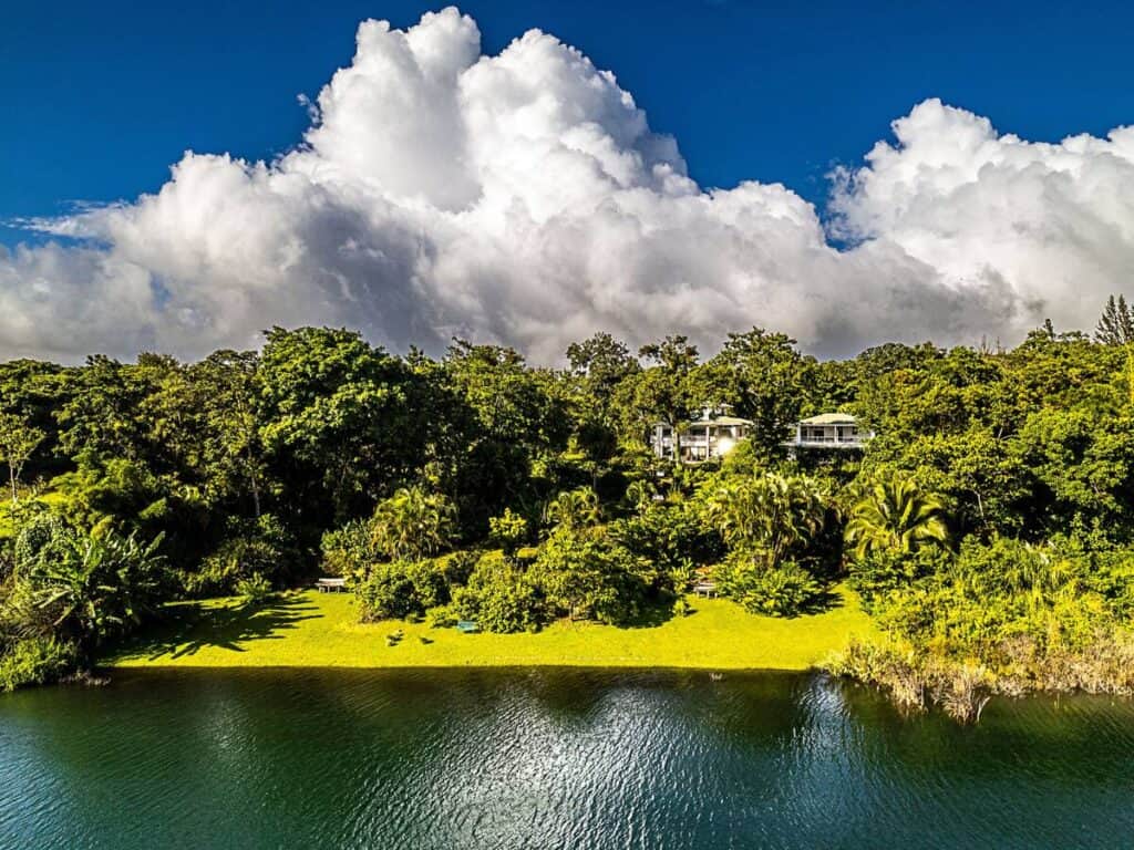 Embracing Your Light LA 8