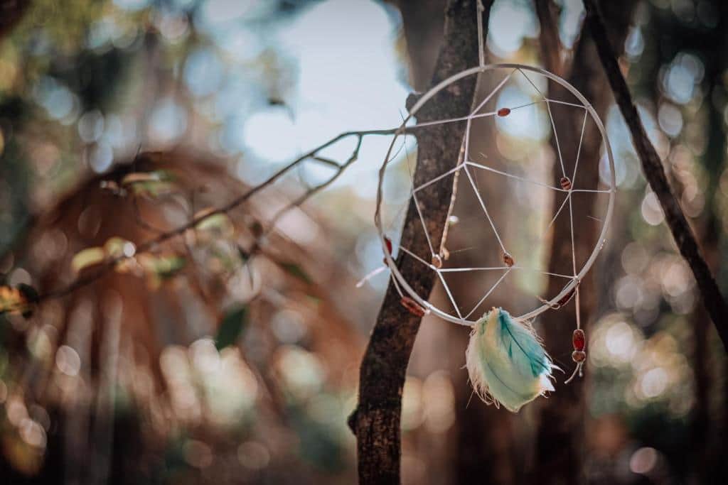 Healing Retreat In The jungle 2