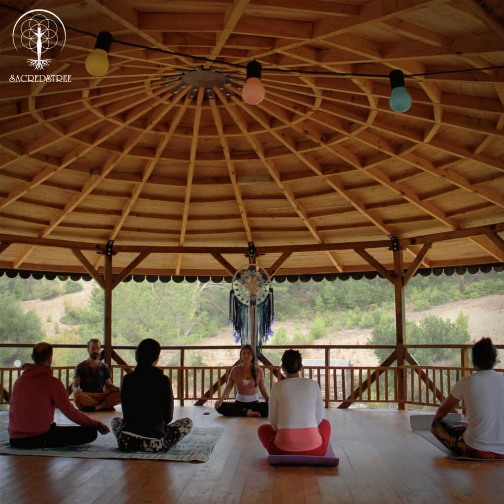 SacredsTree Organization 3