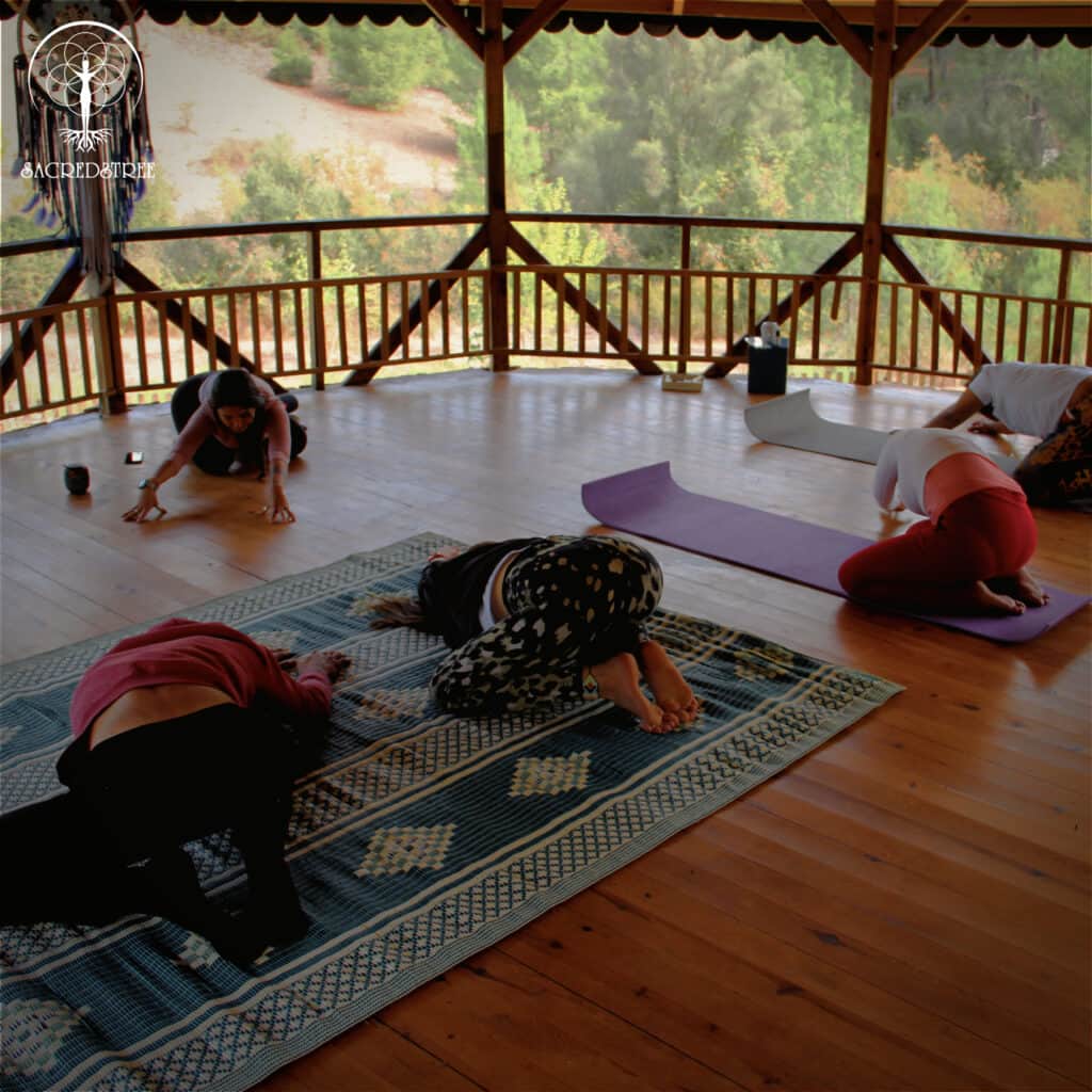 SacredsTree Organization 4