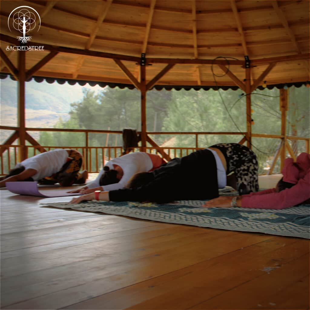 SacredsTree Organization 5