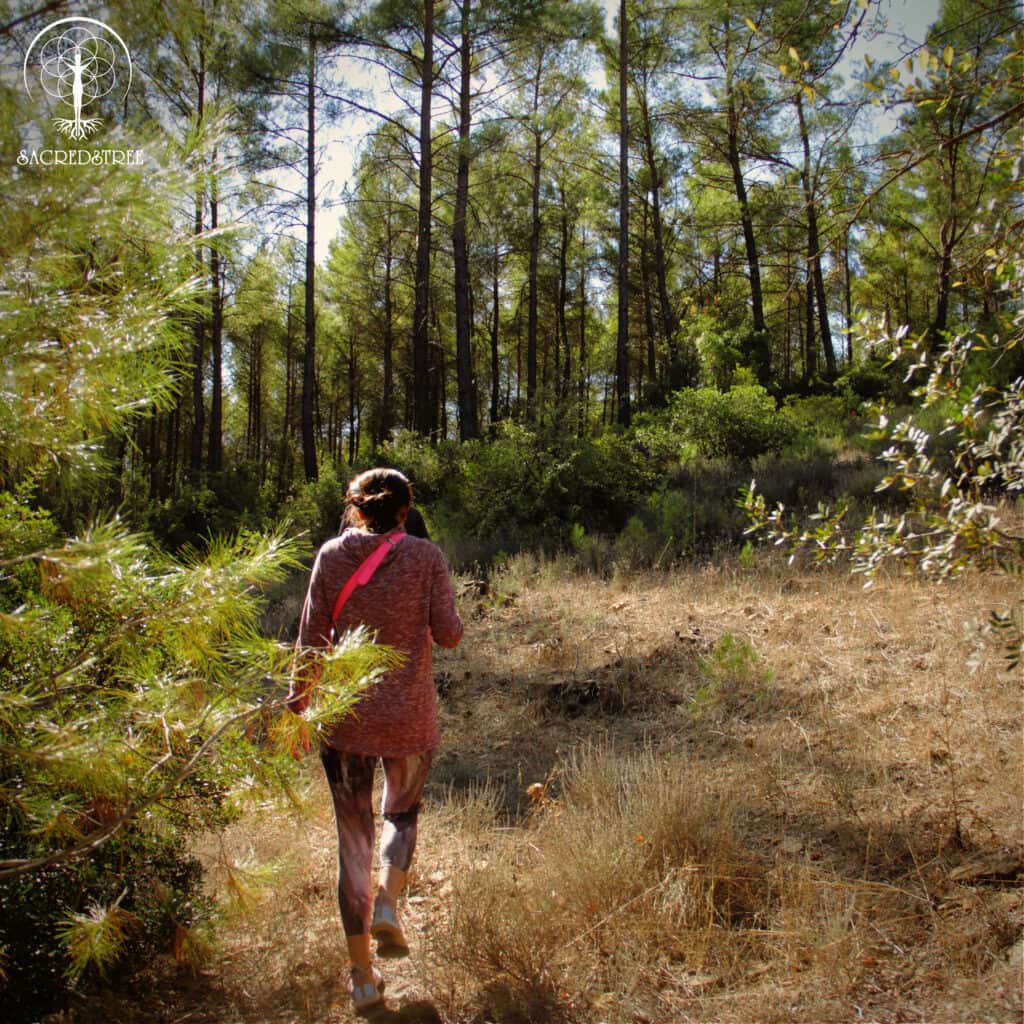 SacredsTree Organization 8