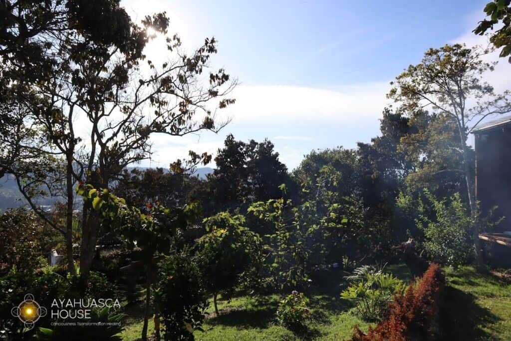 Ayahuasca House 8