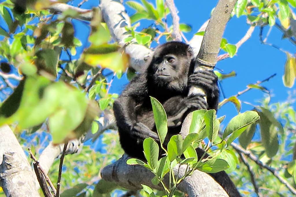 Paradise Found Retreat 2