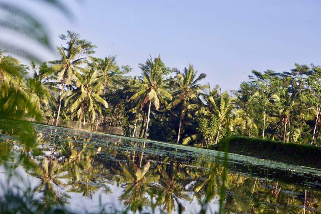 RYK Yoga and Meditation Center 6