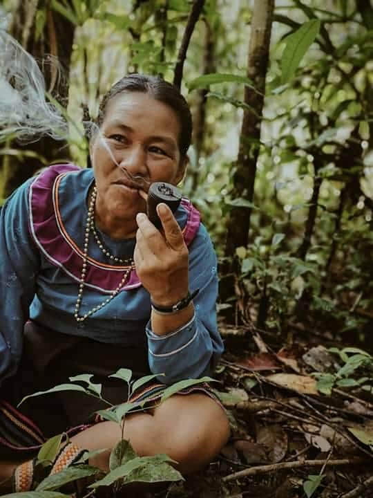 Avatar Ayahuasca Center 7