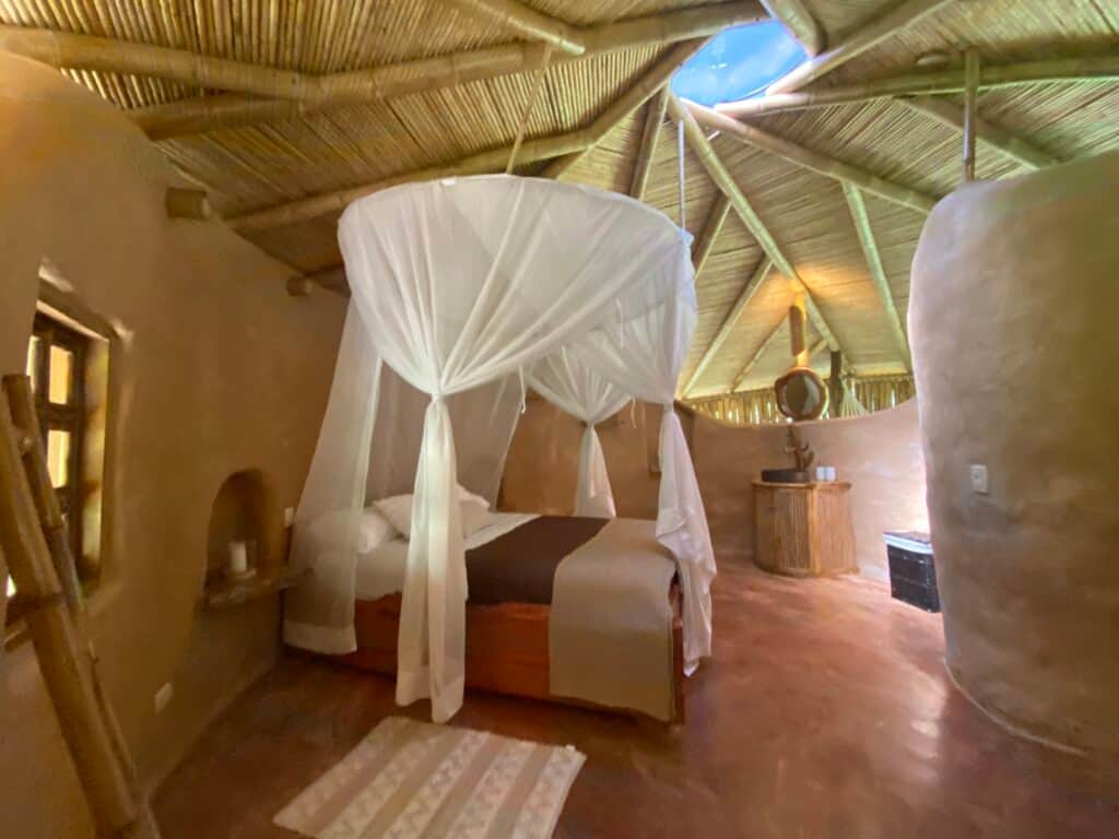 Brave Earth - Center for Applied Cultural Transition 3