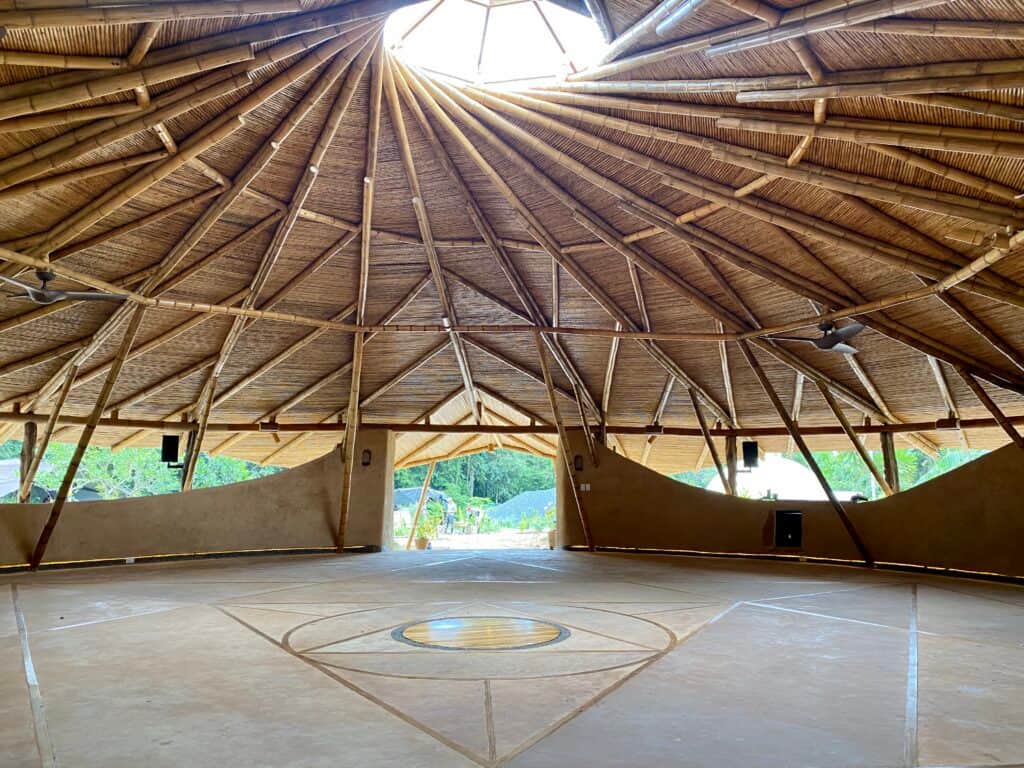 Brave Earth - Center for Applied Cultural Transition 4