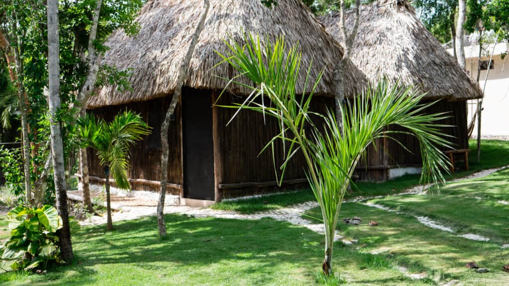 Sadhana Experience 5