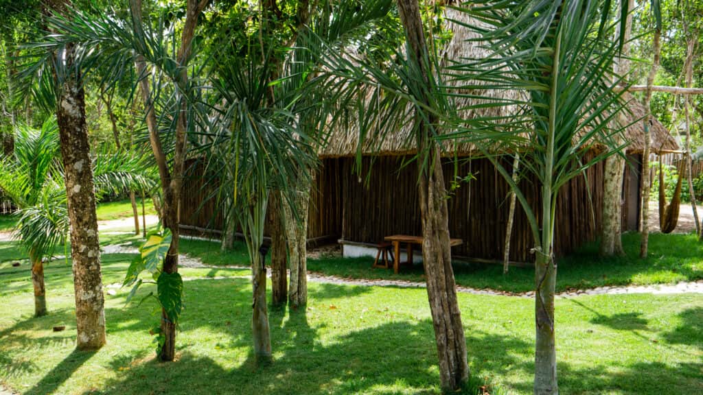 Sadhana Experience 4