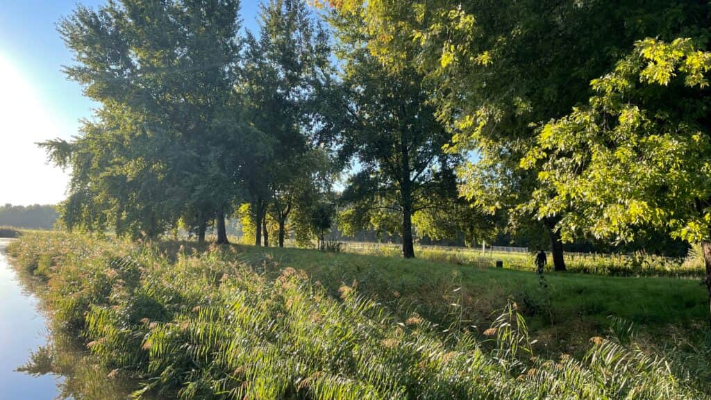 Private Psychedelics Psilocybin Retreat 8