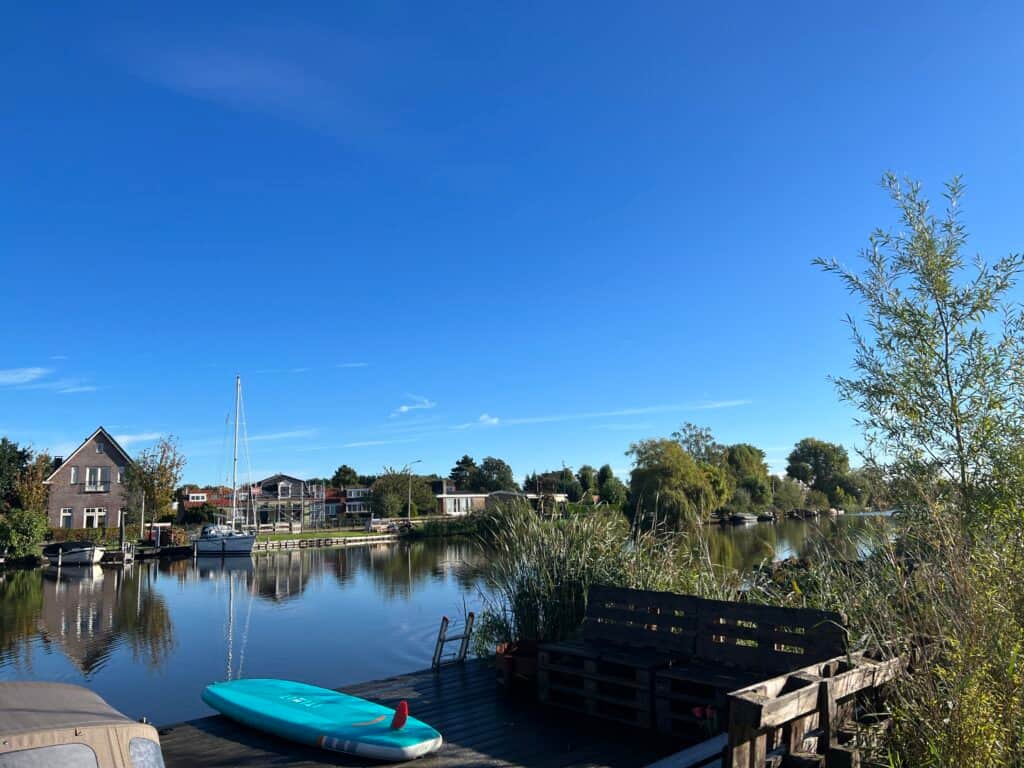 Private Psychedelics Psilocybin Retreat 7