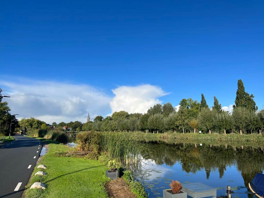 Private Psychedelics Psilocybin Retreat 6