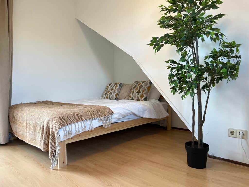 Private Psychedelics Psilocybin Retreat 5