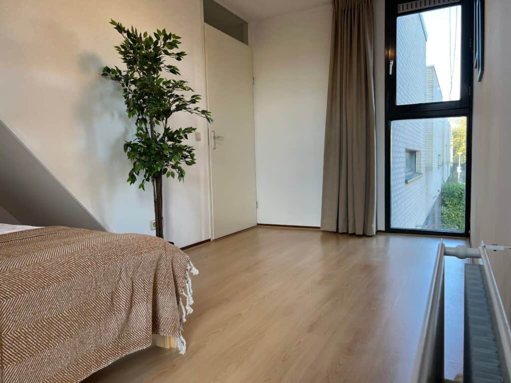 Private Psychedelics Psilocybin Retreat 4