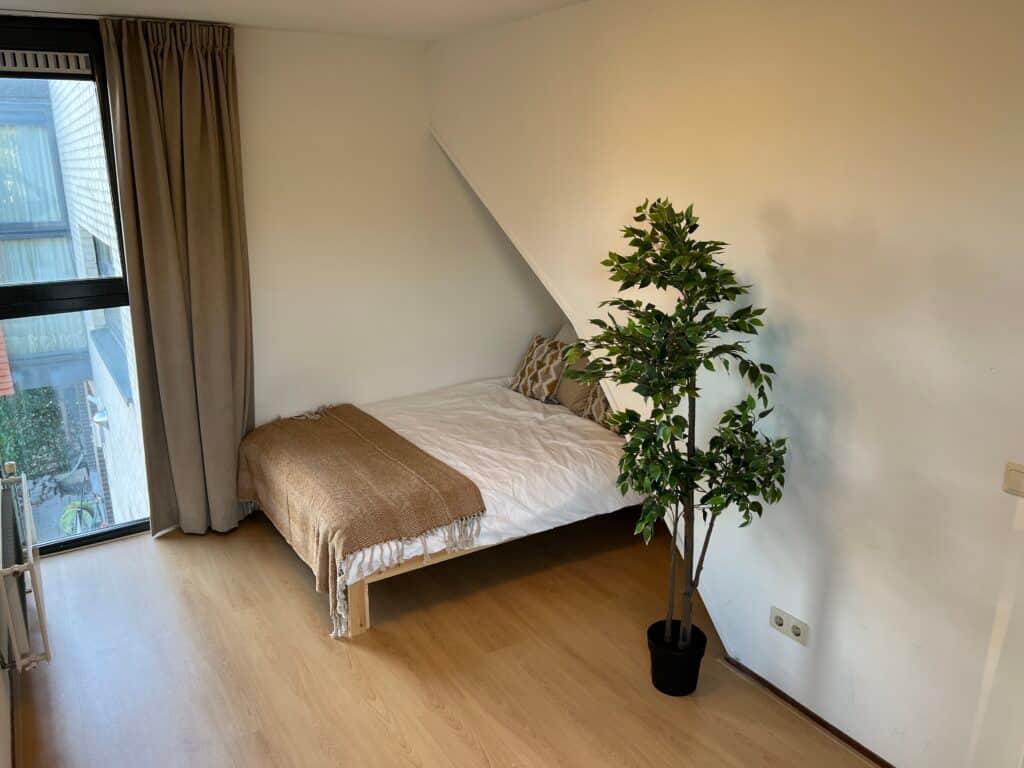 Private Psychedelics Psilocybin Retreat 3