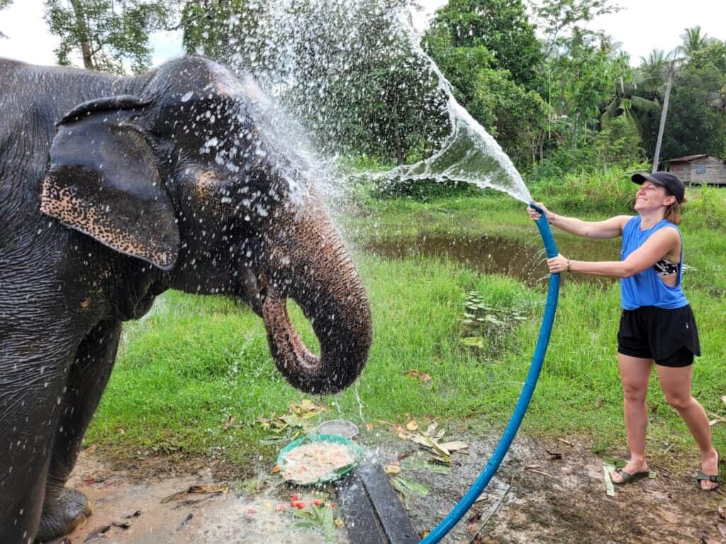 Visit Natural Detox Resort 1