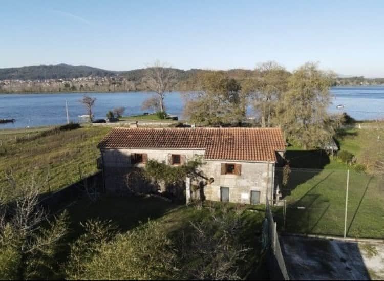 Psilocybin | Consciousness Retreat 1