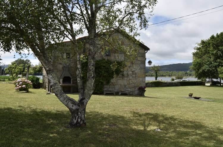 Psilocybin | Consciousness Retreat 5