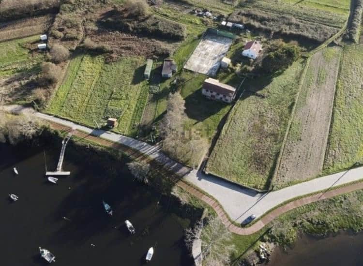 Psilocybin | Consciousness Retreat 6