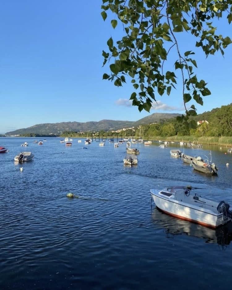 Psilocybin | Consciousness Retreat 4