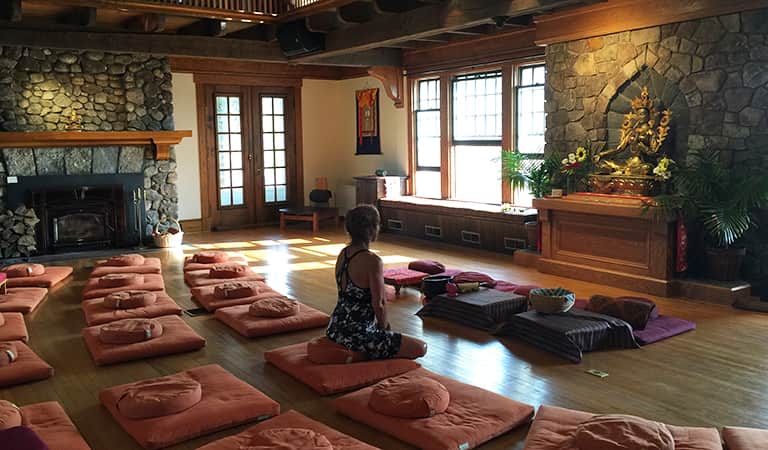 Natural Dharma Fellowship 2