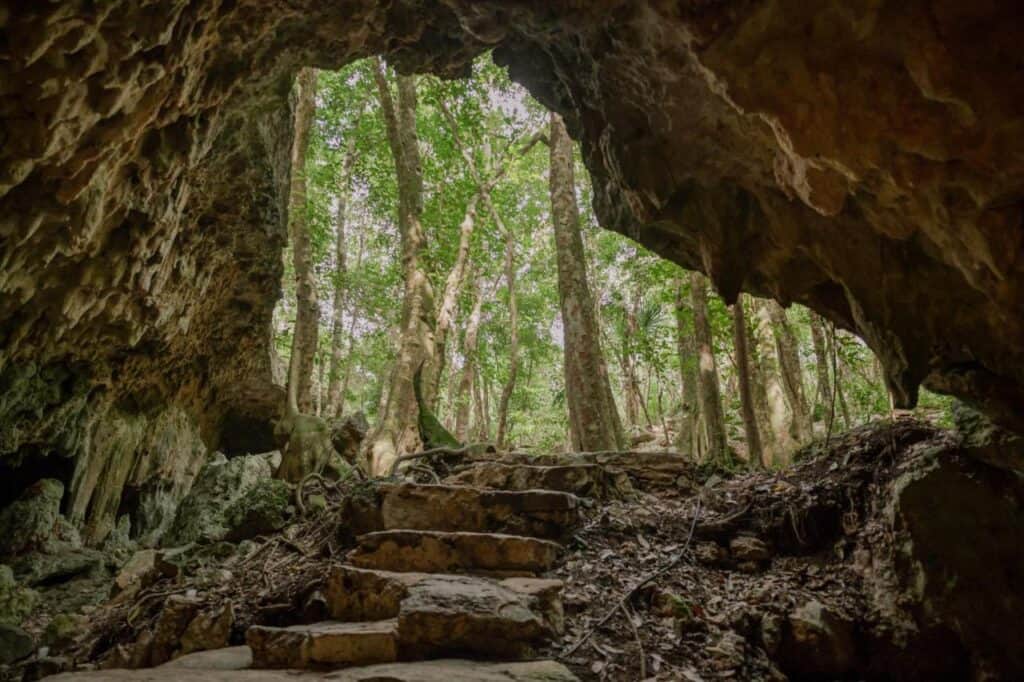 ΛLKIMIΛ RETREΛTS 2