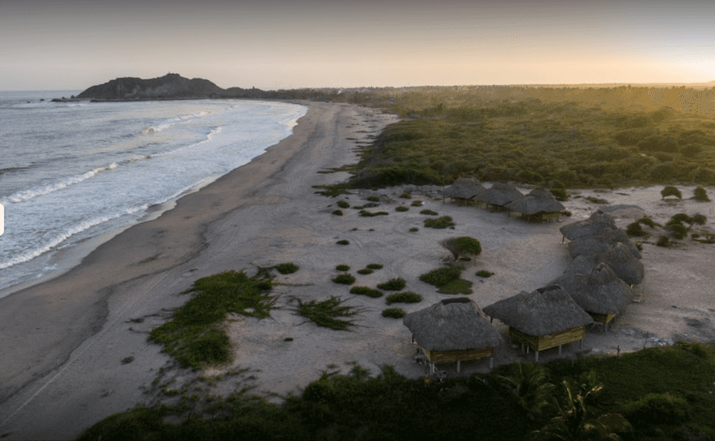 Bufo Alvarius Retreats 5