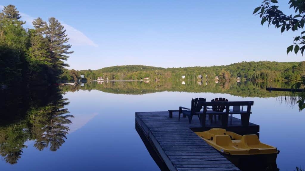 Intuitive Business Connections 3