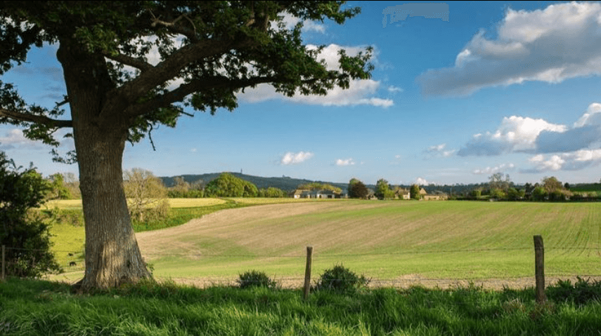 Rest, Restore, Relax & Receive 4 Day Retreat in Hampshire 6