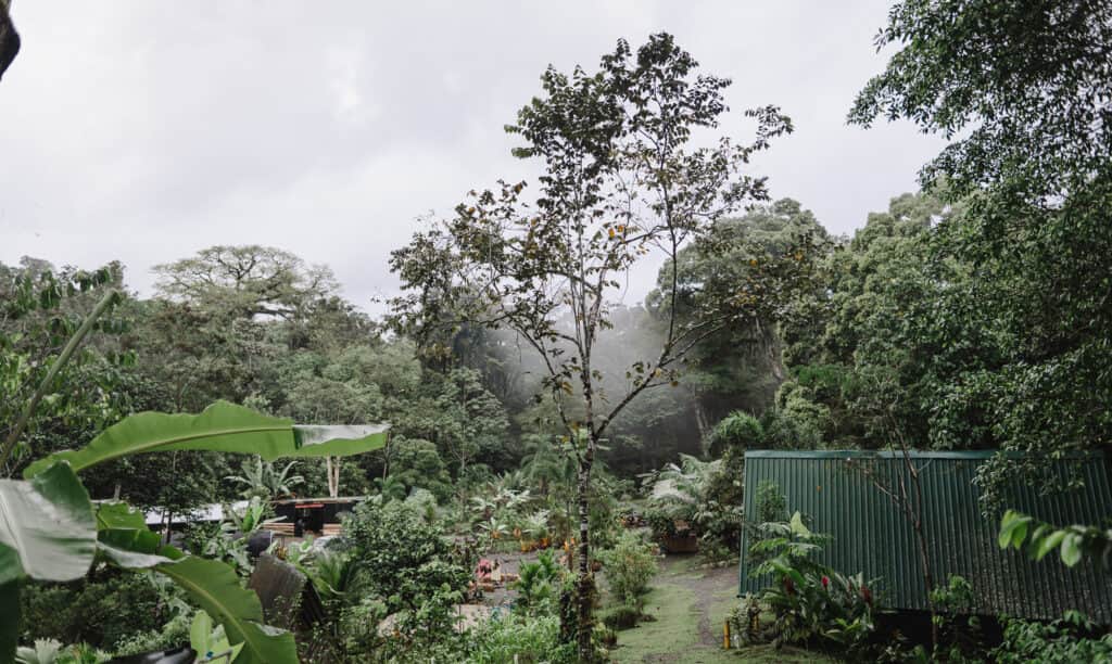 Finca Las Hormigas 5