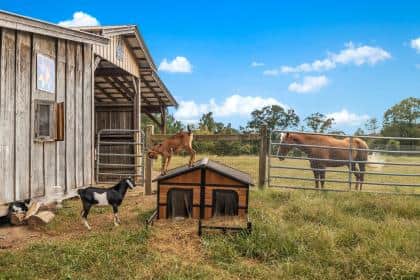 3 Day Peace & Abundance Wellness Retreat in Georgia, US 8