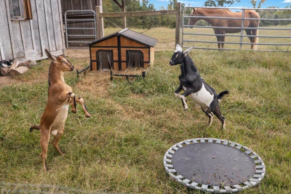 3 Day Peace & Abundance Wellness Retreat in Georgia, US 7