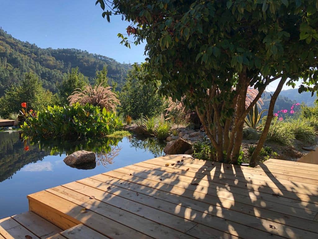 Coração Medicina 5