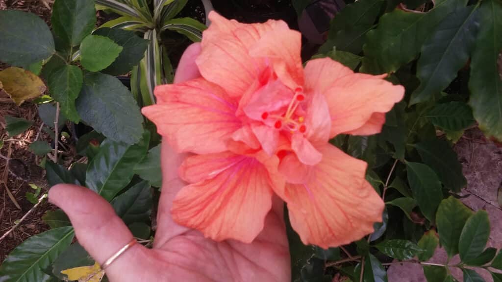 Better Wellness Retreats 7