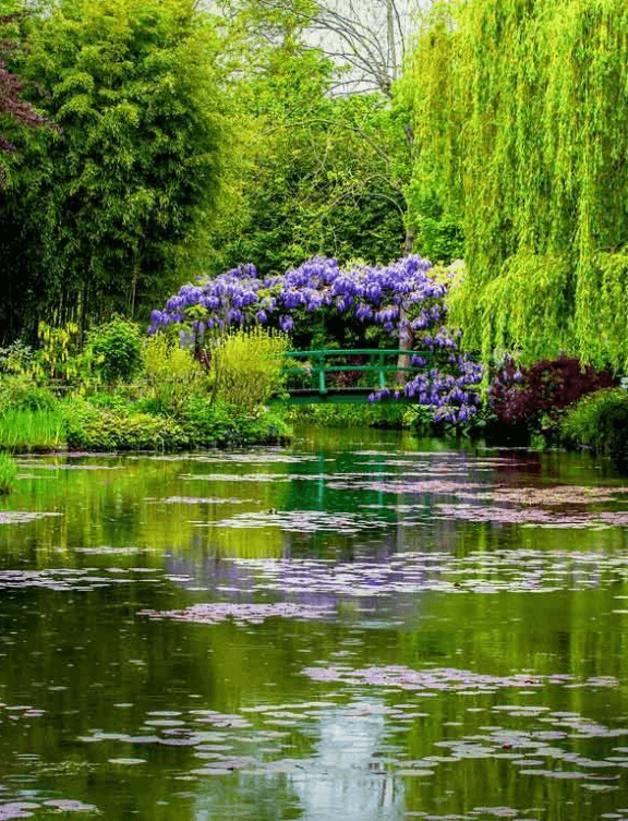 Journey To France Wellness Retreat 5