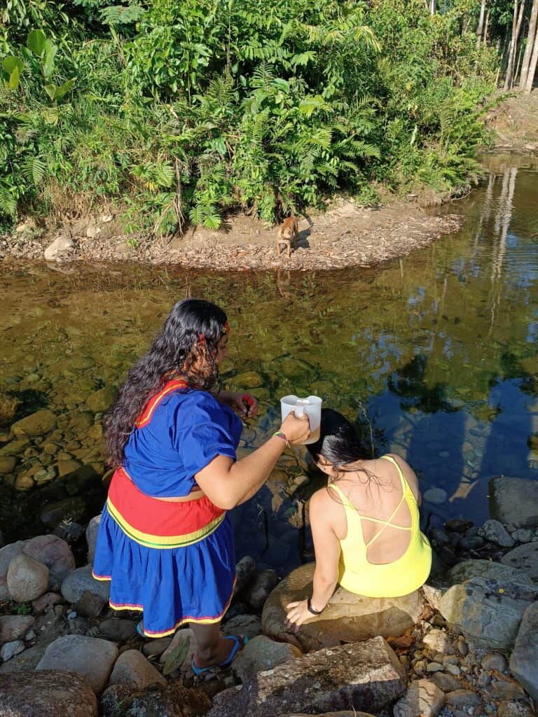 AyahuascaRetreat.io 5