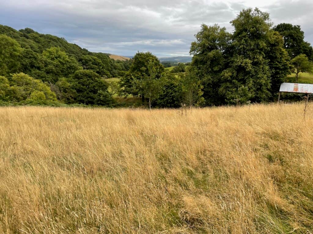 Dudes in the Dome Men's Journey 5