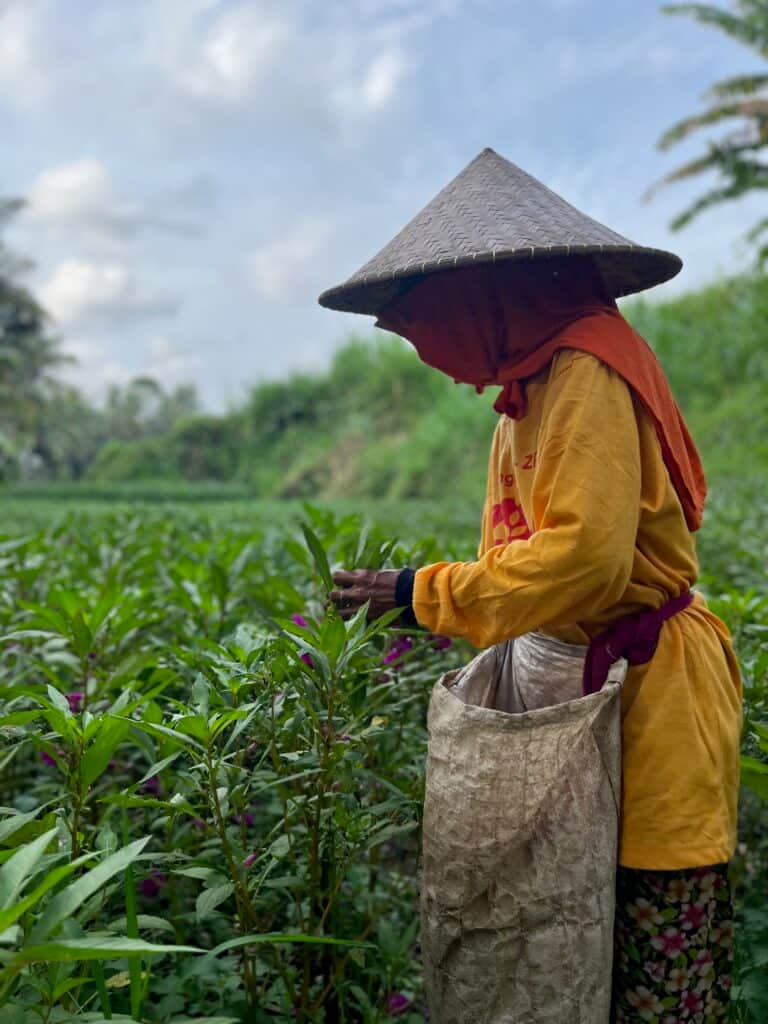 One Fit Wellness - Bali 8