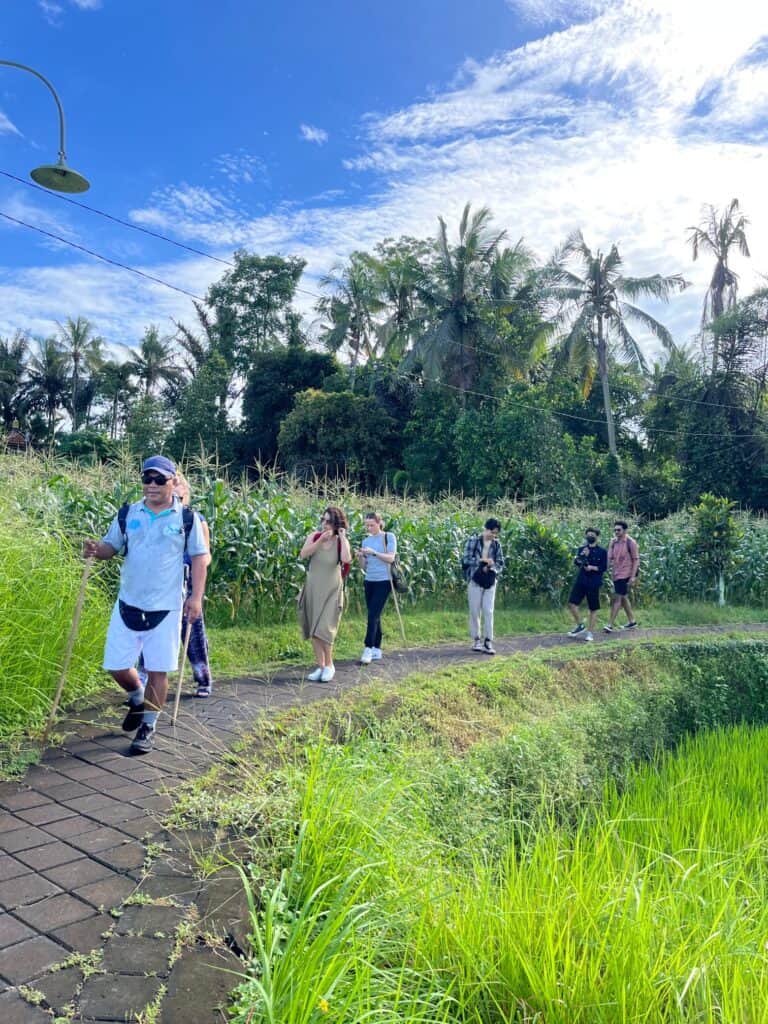 One Fit Wellness - Bali 3