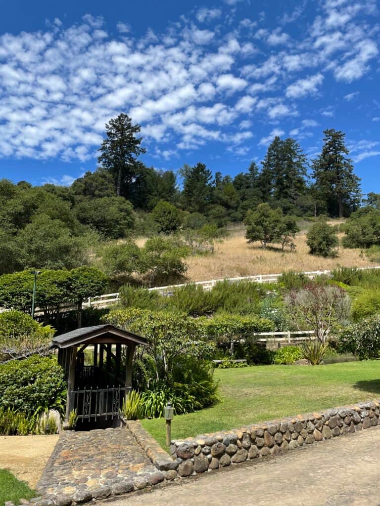 Hummingbird Valley 4