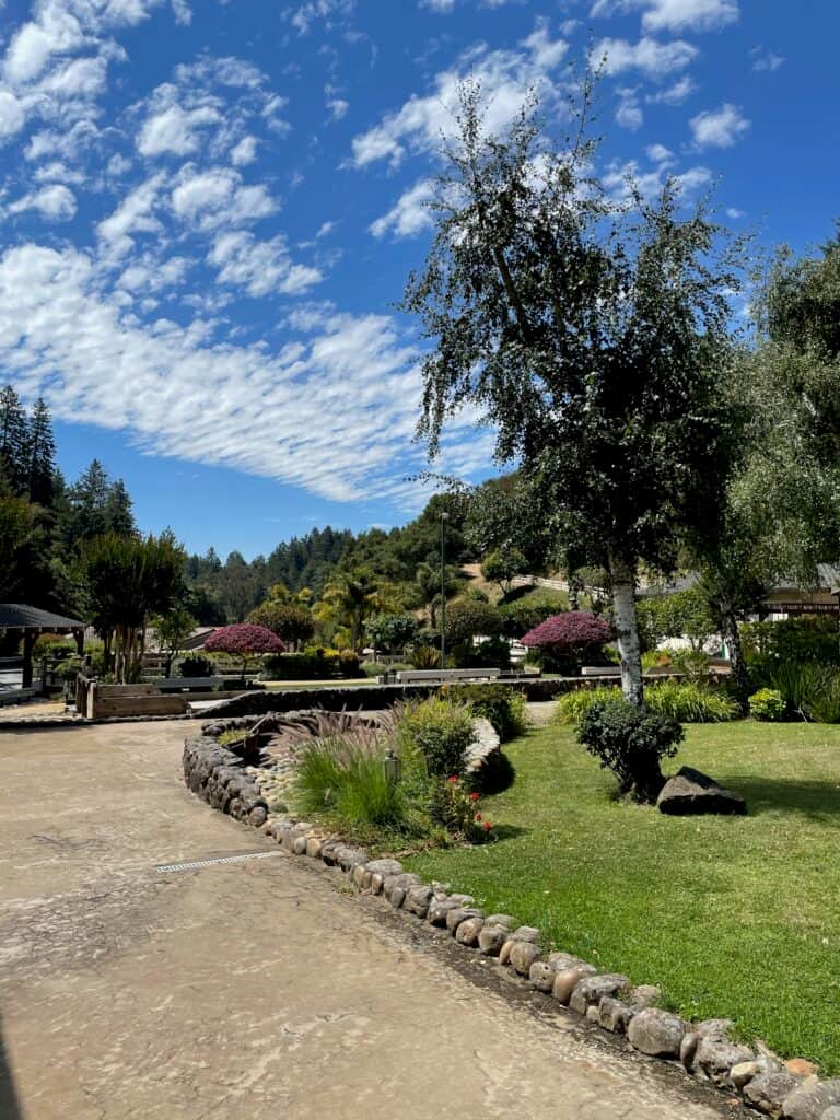 Hummingbird Valley 3