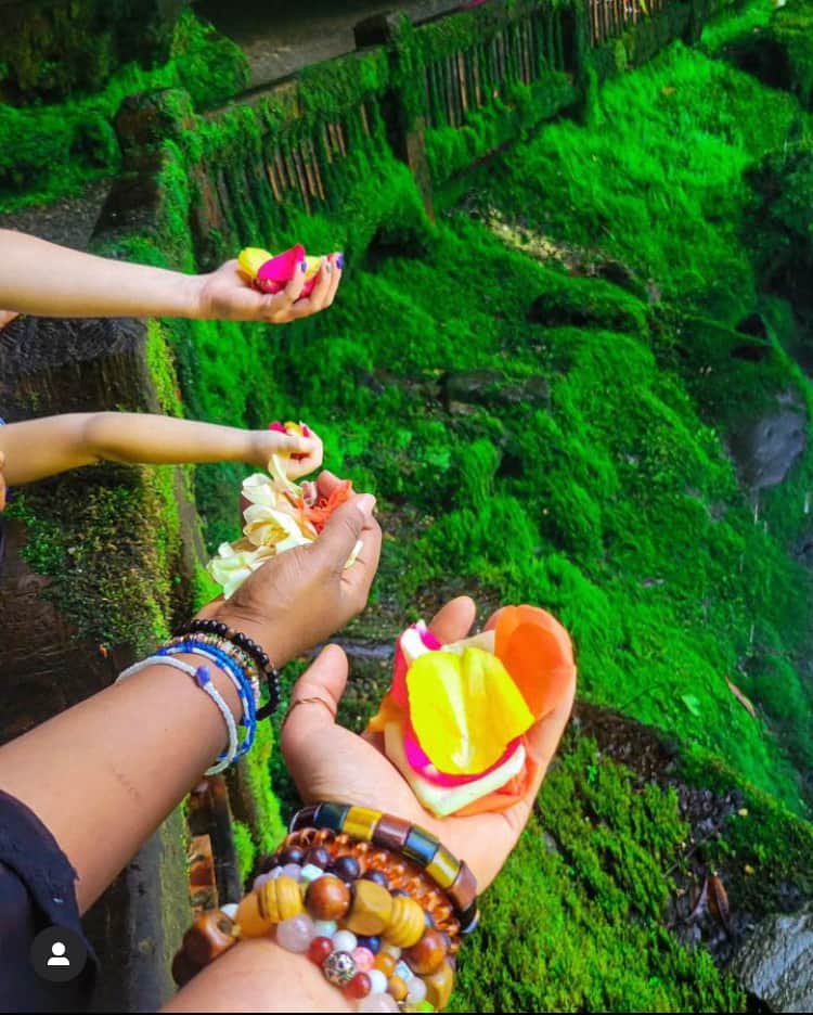 SGO Wellness Institute 3