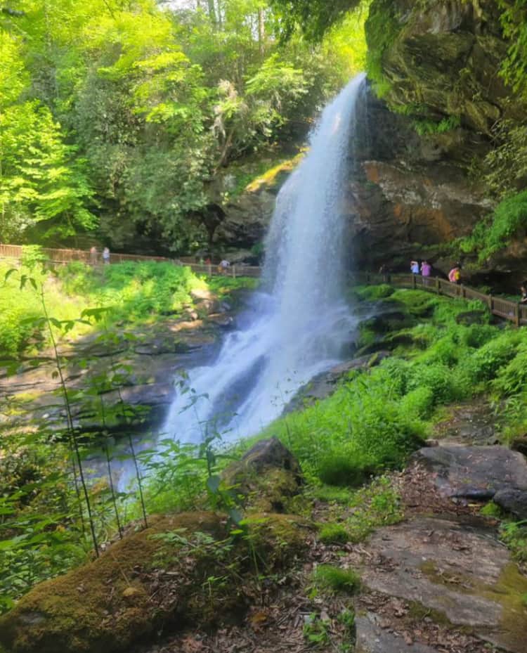 SGO Wellness Institute 4