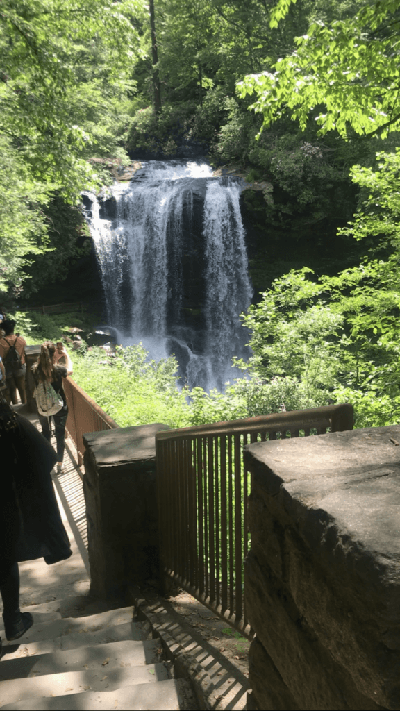 SGO Wellness Institute 7