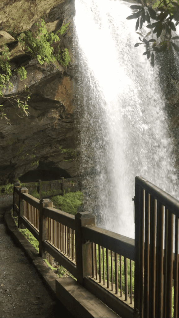 SGO Wellness Institute 8