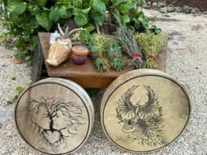 Bluestone Ayahuasca 2